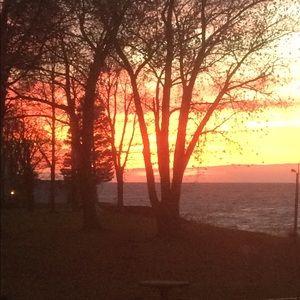 Meet your Posher, Dan