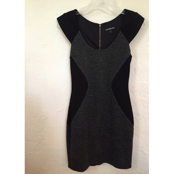 Express Bodycon Dress