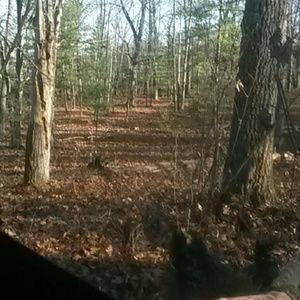 Meet your Posher, Renee