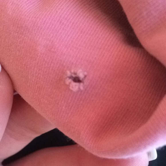 Yoga shorts - Picture 4 of 4