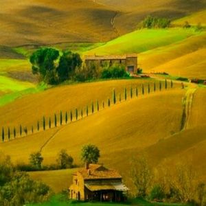 Meet your Posher, Stephenie