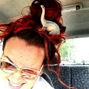 Meet your Posher, Morgan