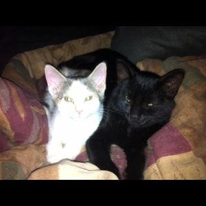 Meet your Posher, Beverly