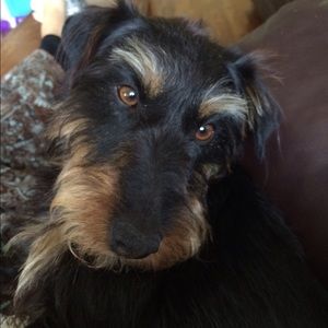 Meet your Posher, Aileen