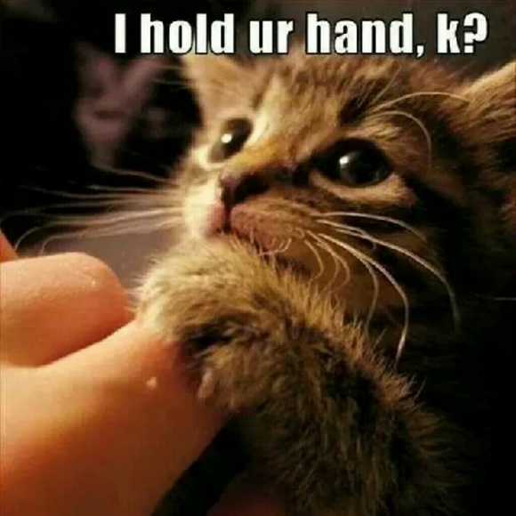 Meet your Posher, Kitty (Lydianon) - Picture 2 of 4