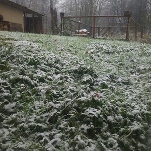 Meet your Posher, Kyla