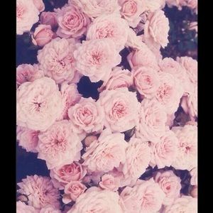 Meet your Posher, Marissa