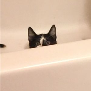 Meet your Posher, Stacy