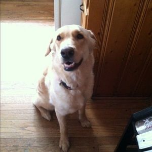 Meet your Posher, April