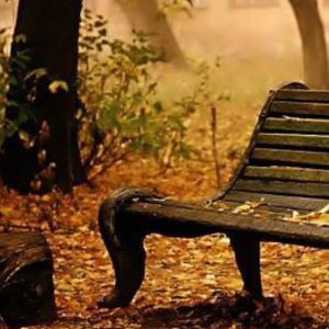 Meet your Posher, Kat