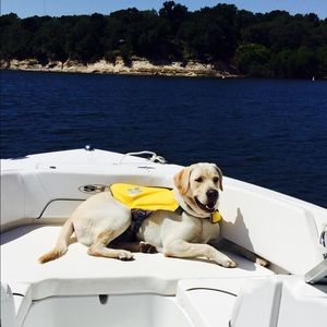 Meet your Posher, Denise