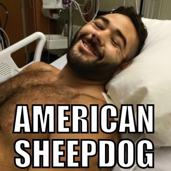 Meet your Posher, Matthew - Picture 1 of 1