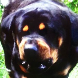 Meet your Posher, Lorrie