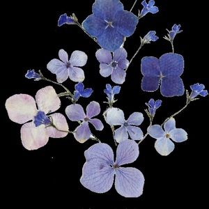 Meet your Posher, Sierra