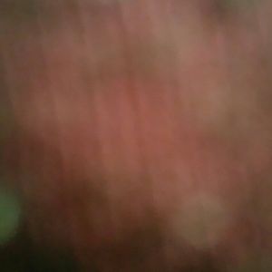 Meet your Posher, Leatha