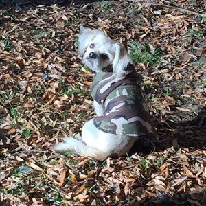 Meet your Posher, Trisha