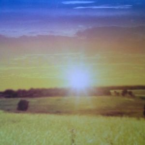 Meet your Posher, Bethtina