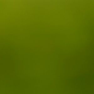 Meet your Posher, Leasonna