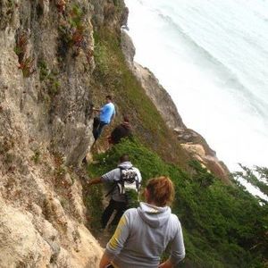 Meet your Posher, Annelise