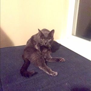 Meet your Posher, Megan