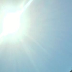 Meet your Posher, Jayla