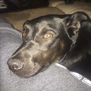 Meet your Posher, Caitlyn