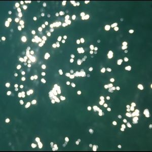 Meet your Posher, Eunice