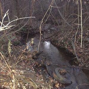 Meet your Posher, Faith