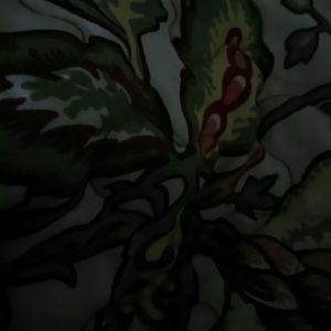 Meet your Posher, Fernando