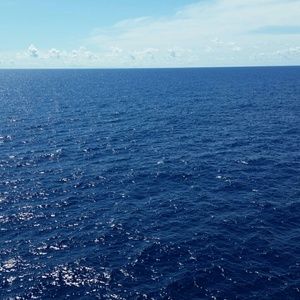 Meet your Posher, Janelle