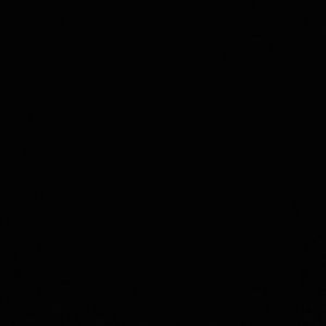 Meet your Posher, Dennise