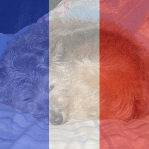 Meet your Posher, Cara