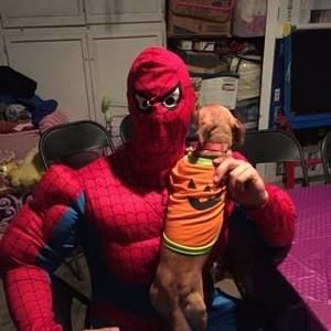 Meet your Posher, Joseph