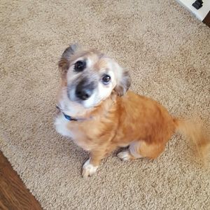 Meet your Posher, Dana