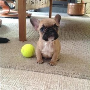 Meet your Posher, Ruby