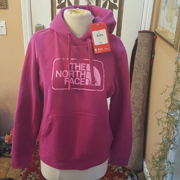 Brand new north face hoodie pullover sweater hood