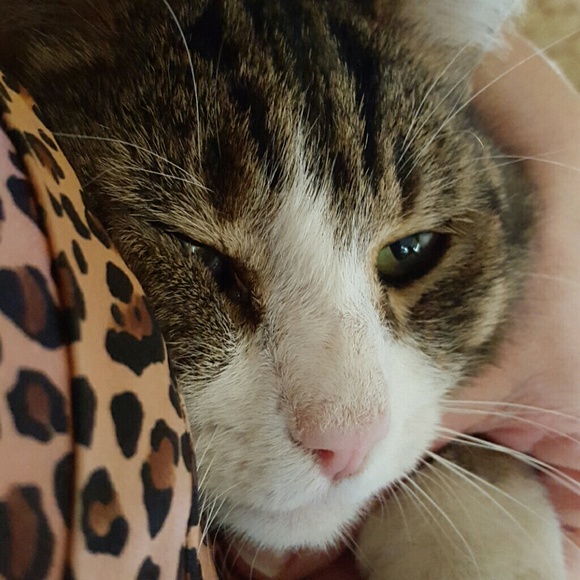 MeowIt's Sunday and I can't stop poshing  helppppp
