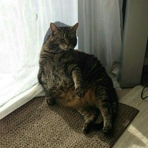 Meet your Posher, Alan