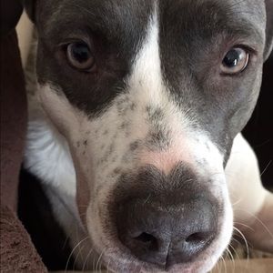 Meet your Posher, Lana