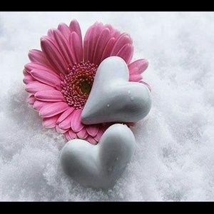 Meet your Posher, Shelly