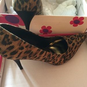 Leopard Print Pumps
