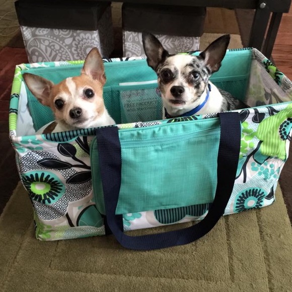 Meet your Posher, Kerry❤️🎸🎉 - Picture 4 of 4