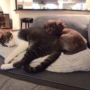 Meet your Posher, Johanna