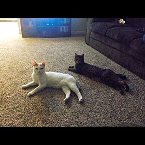 Meet your Posher, Krystal