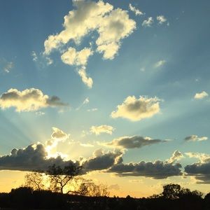 Meet your Posher, Maddie