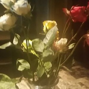 Meet your Posher, Joann