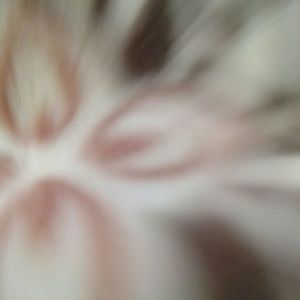 Meet your Posher, Katherine