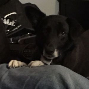 Meet your Posher, Erics