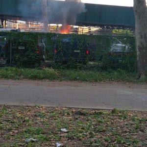 Meet your Posher, Ralph