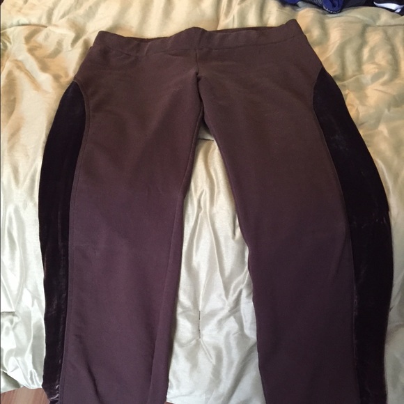 Bebe Sport Pant and Jacket Set